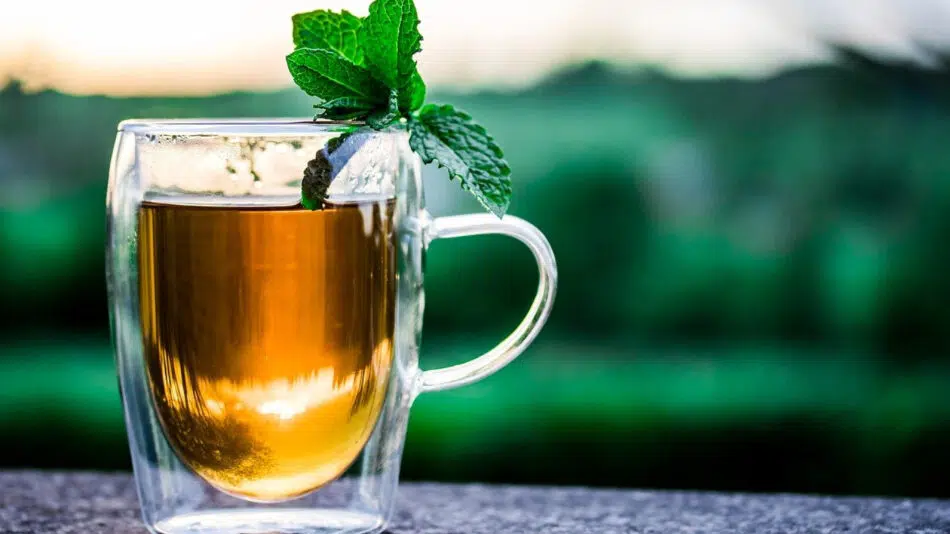Quels sont les bienfaits du thé vert ?