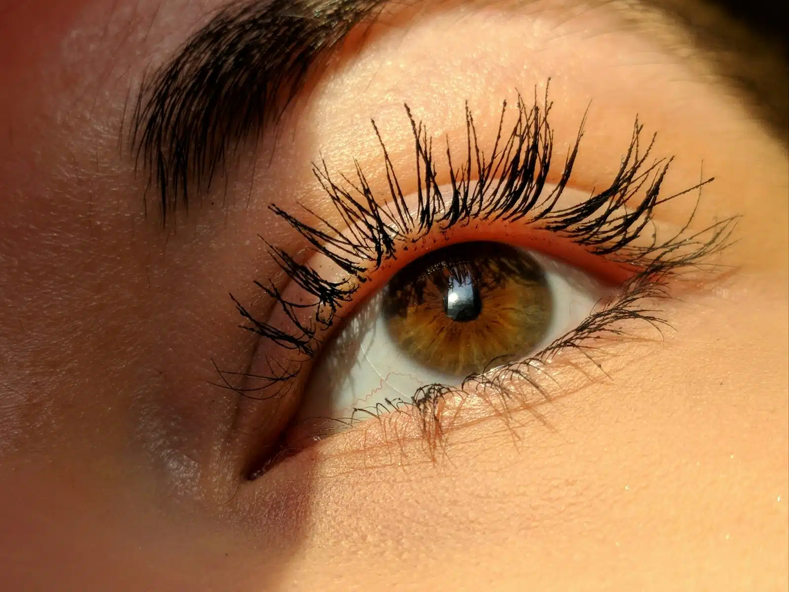 oeil d'une femme aux longs cils